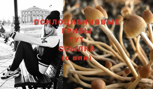 марки nbome Арсеньев